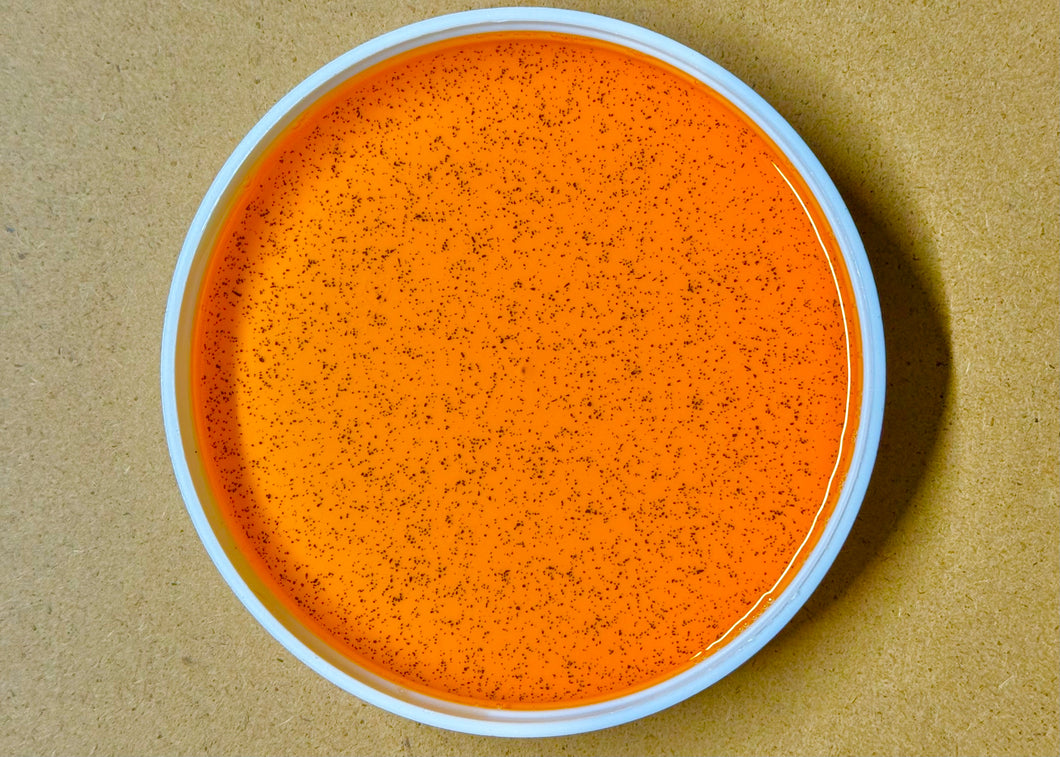 Ocean Oil